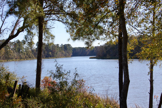 “Texas River Scene” Photograph